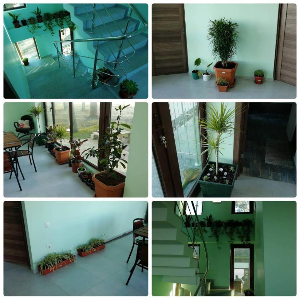 Shekvetili Green House Zewnętrze zdjęcie